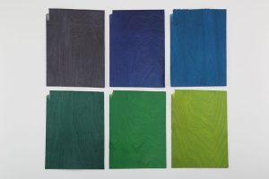 Coloured Plywood