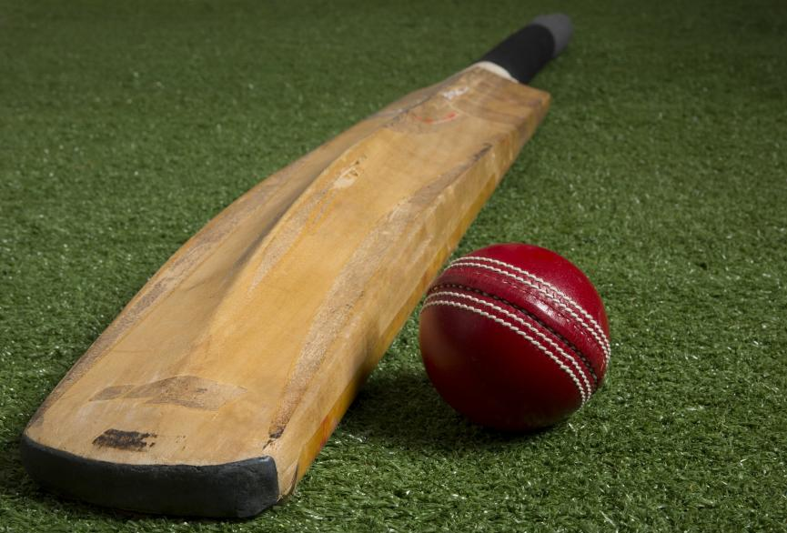 baseball bat
