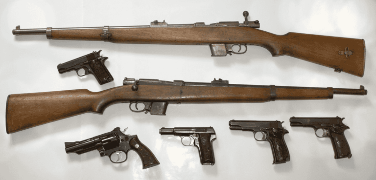 Gun
